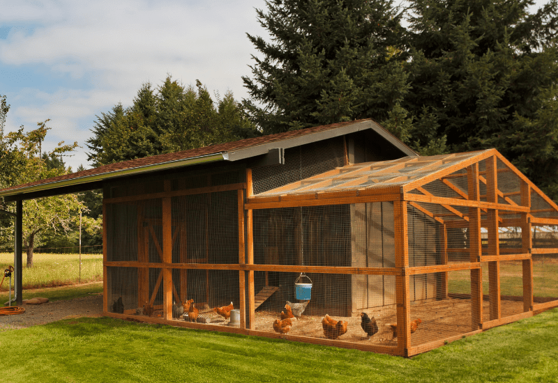 stationary chicken run
