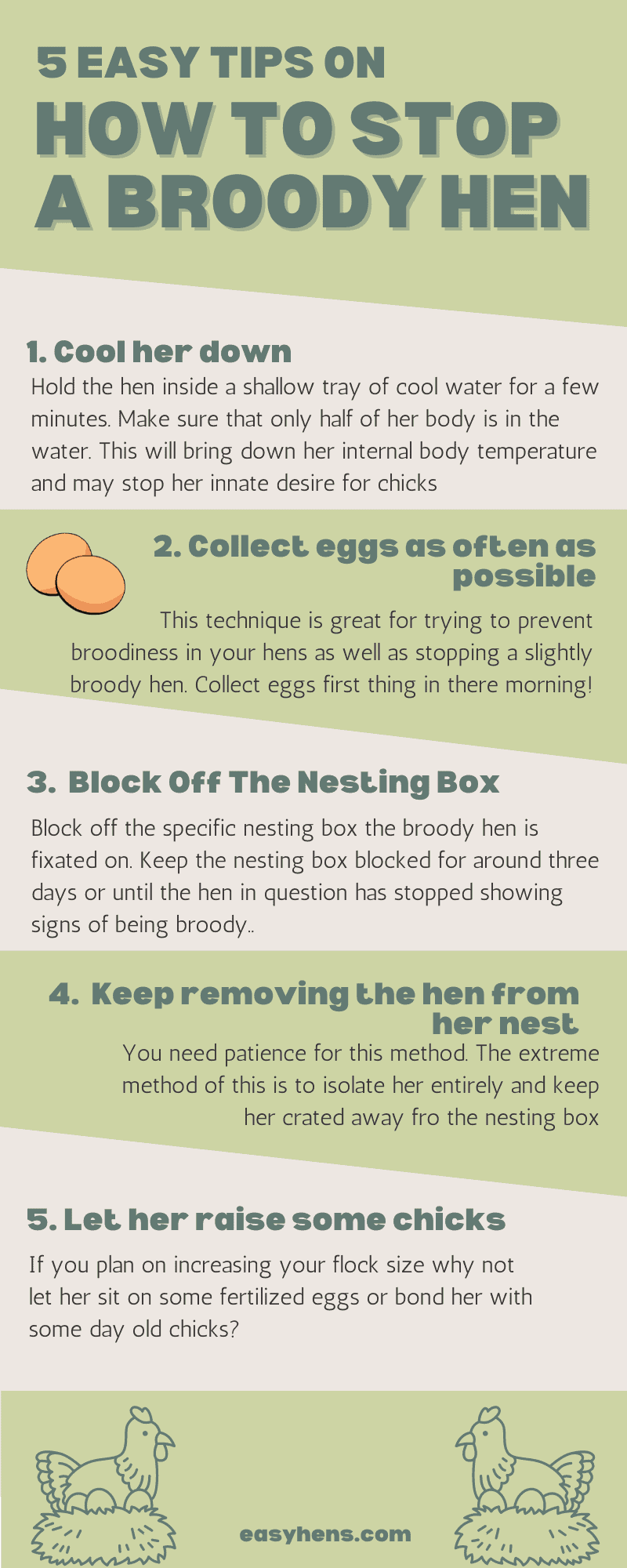 How to stop a broody chicken