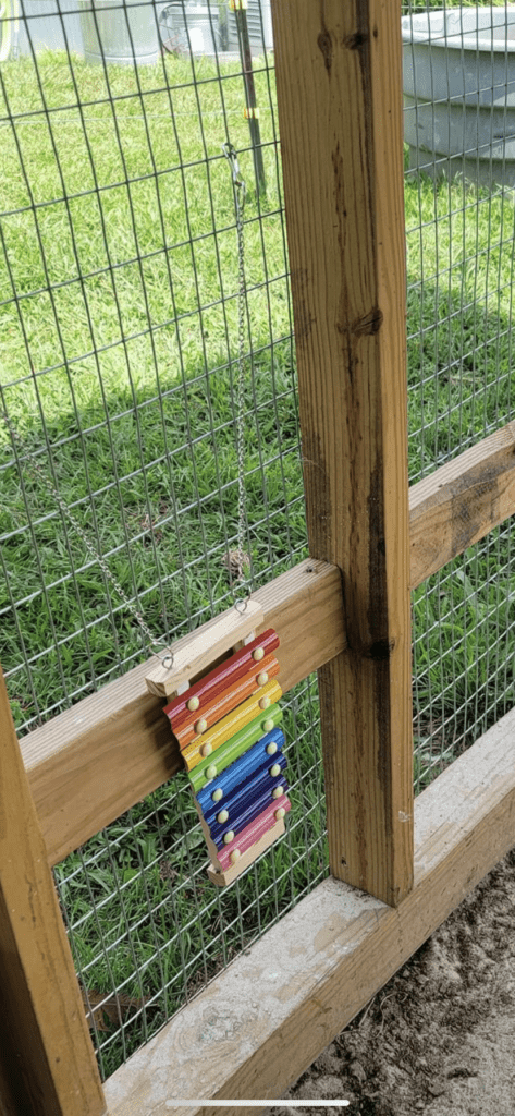 xylophone hung for entertaining your chickens