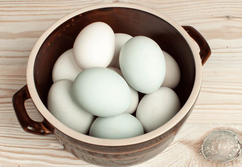 Ice cream bar eggs are more aqua than green